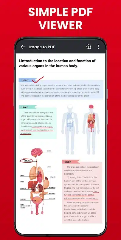 PDF Reader - PDF Viewer 2024